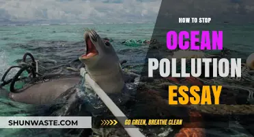 Ocean Pollution: Strategies to Combat the Crisis