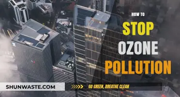 Protecting Our Ozone: Stopping Pollution in Its Tracks