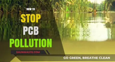 Preventing PCB Pollution: Strategies for a Sustainable Future