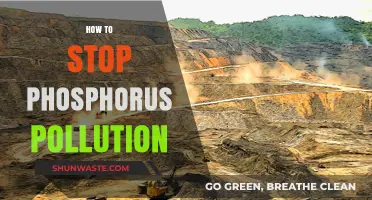 Phosphorus Pollution: Strategies for Prevention and Control