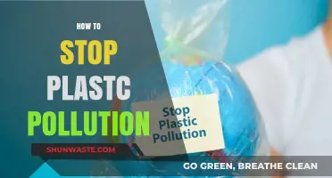 Ending Plastic Pollution: Steps to a Cleaner Planet