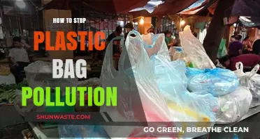 Ban Plastic Bags: Simple Steps to Reduce Pollution