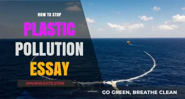 Combating Plastic Pollution: Strategies for a Sustainable Future