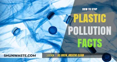 Stop Plastic Pollution: Facts for Action