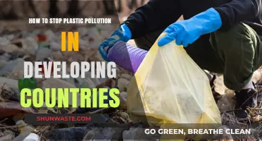 Developing Nations: Stopping Plastic Pollution