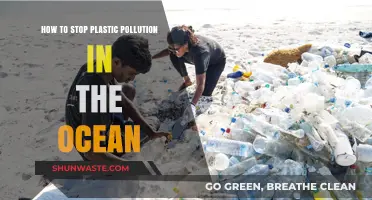 Eradicating Ocean Plastic: Actionable Steps to a Cleaner Future