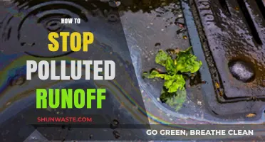 Preventing Polluted Runoff: Solutions to Protect Our Waterways