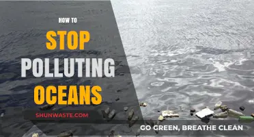 Protecting Oceans: Stop Polluting, Start Preserving