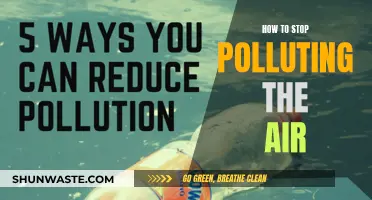 Air Pollution: Simple Steps to Breathe Cleaner Air