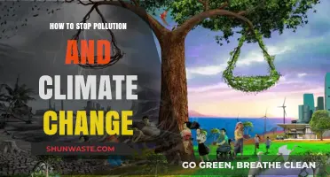 Protecting Our Planet: Stopping Pollution and Climate Change