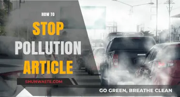 Fight Pollution: Simple Steps to a Cleaner World