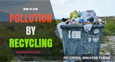 Recycling: Stop Pollution, Start Now!