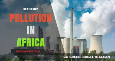 Africa's Pollution Solution: Strategies for a Green Future