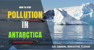 Antarctica's Pollution: Strategies for Protection