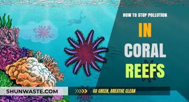 Protect Coral Reefs: Stop Pollution Now