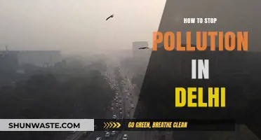 Delhi's Pollution: Strategies for a Cleaner Tomorrow
