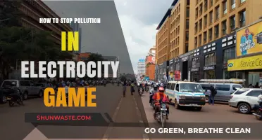 Electrocity: Strategies to Reduce Pollution
