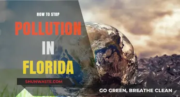 Florida's Fight: Stopping Pollution, Saving Nature