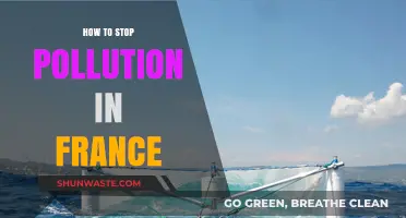 France's Pollution: Solutions for a Greener Future