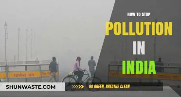 India's Pollution Crisis: Strategies for Change