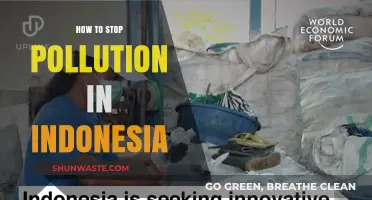 Reducing Indonesian Pollution: Strategies for a Greener Future