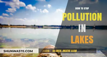 Protecting Lakes: Stopping Pollution at its Source