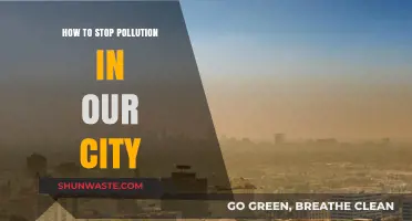 A Green City: Stopping Pollution, Starting Today