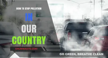 Combat Pollution: Strategies for a Cleaner Country