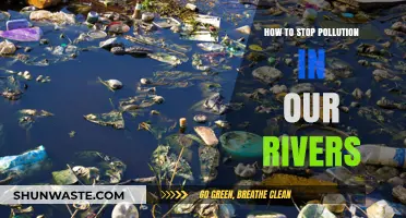Protecting Rivers: Stopping Pollution at its Source
