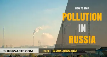 Russia's Pollution Solution: Strategies for a Greener Future