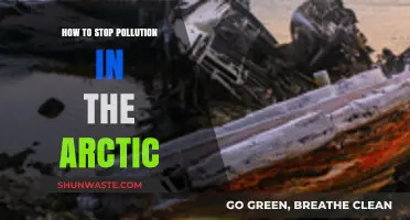 Preserving the Arctic: Stopping Pollution at the Top of the World