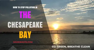 Protecting Chesapeake Bay: Stopping Pollution at the Source