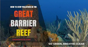 Protecting the Great Barrier Reef: Stopping Pollution