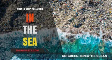 Protecting Our Oceans: Stopping Pollution at Its Source