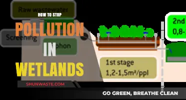 Protecting Wetlands: Stopping Pollution at the Source