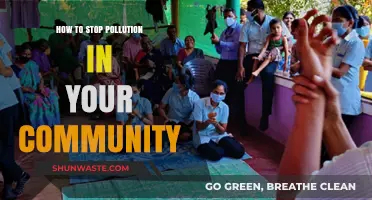 Community Action: Stop Pollution at the Local Level