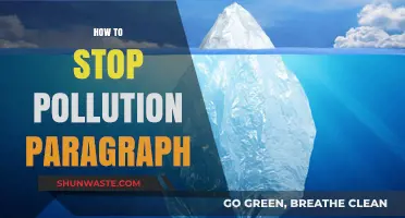 Preventing Pollution: Simple Steps to a Cleaner World