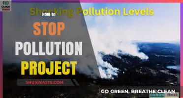 Preventing Pollution: Steps to Take Today