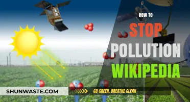 Stop Pollution: Ways to Save Our Planet