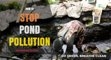 Protecting Ponds: Stopping Pollution to Save Aquatic Ecosystems