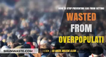 Sustainable Solutions: Reducing Gas Waste in an Overpopulated World