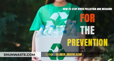 Preventing River Pollution: Strategies for Clean Water