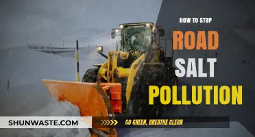 Stopping Road Salt Pollution: A Guide to Eco-Friendly De-icing