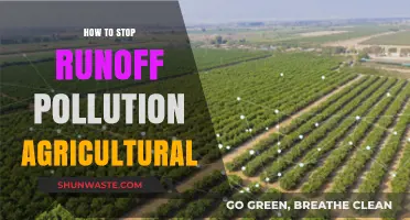 Preventing Agricultural Runoff Pollution: Strategies for Farmers