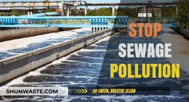 Stop Sewage Pollution: Protect Our Waterways