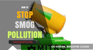 Eradicating Smog: Strategies for a Pollution-Free Environment