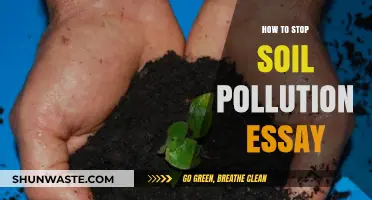 Soil Pollution: Preventing the Inevitable Crisis