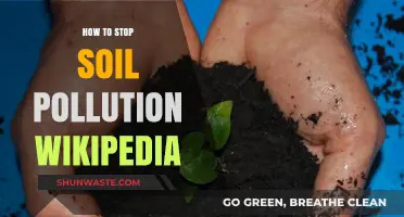 Preventing Soil Pollution: Steps to Protect Our Earth