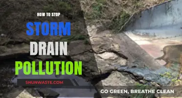 Preventing Storm Drain Pollution: Simple Steps to Protect Our Waterways