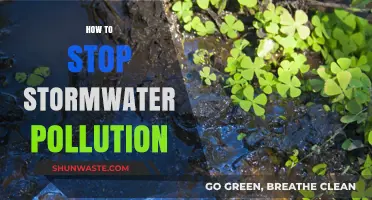 Preventing Stormwater Pollution: Simple Steps to Protect Our Waterways